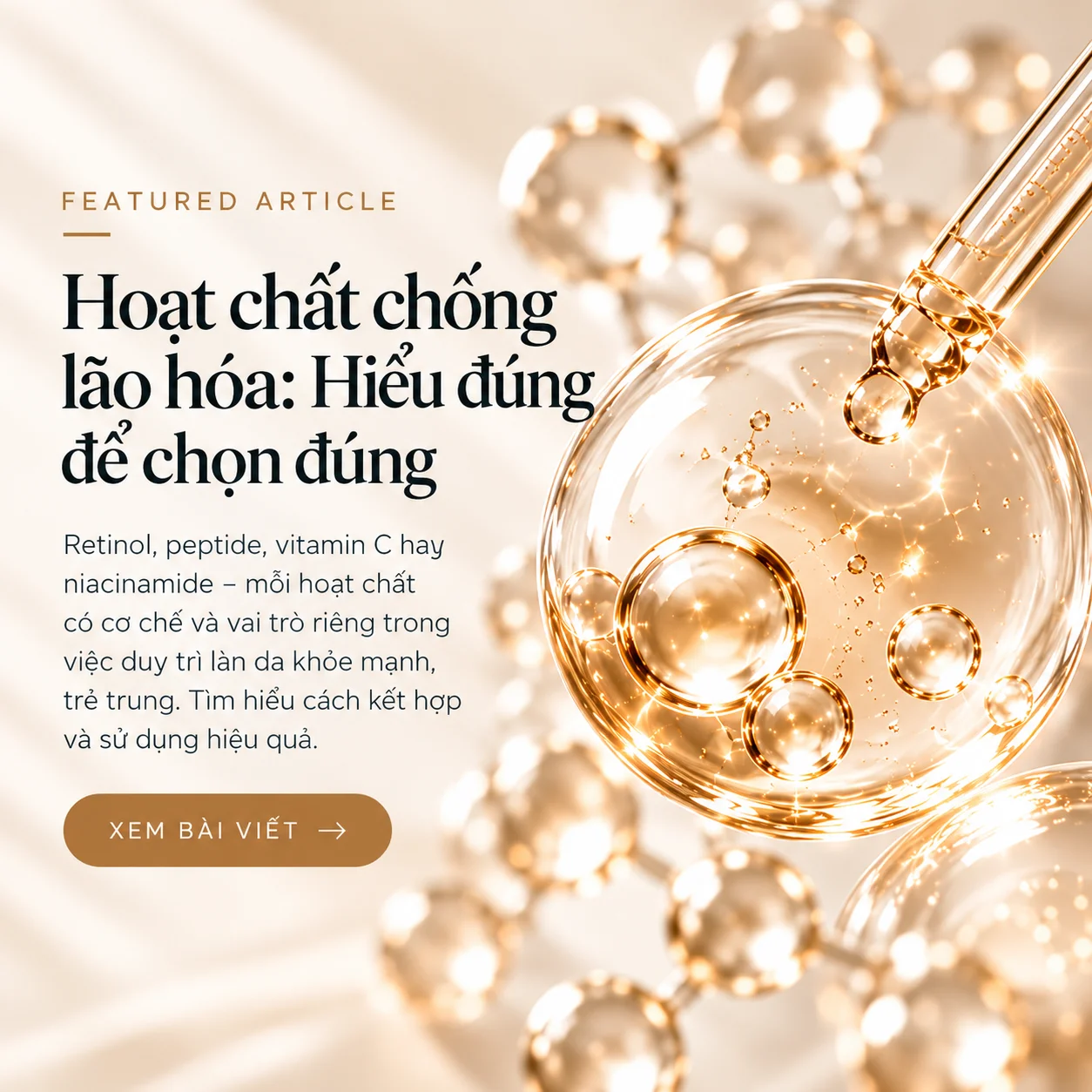 Featured Article – Hoat chat chong lao hoa mo