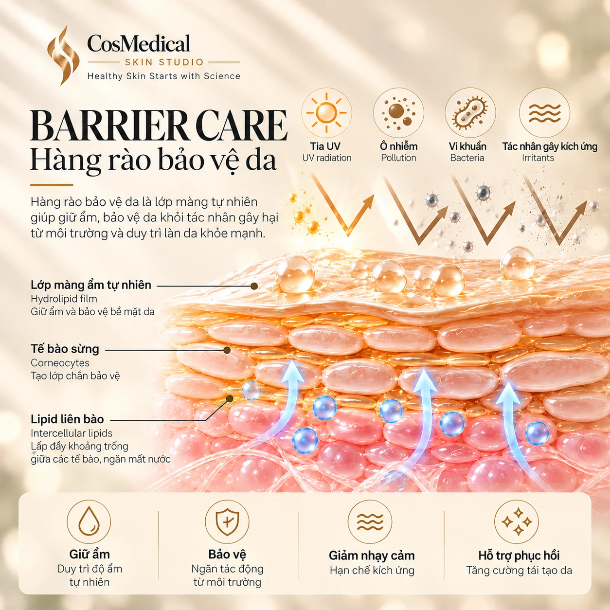 Barrier Care – Hàng rào bảo vệ da 11 HANG RAO BV DA MO