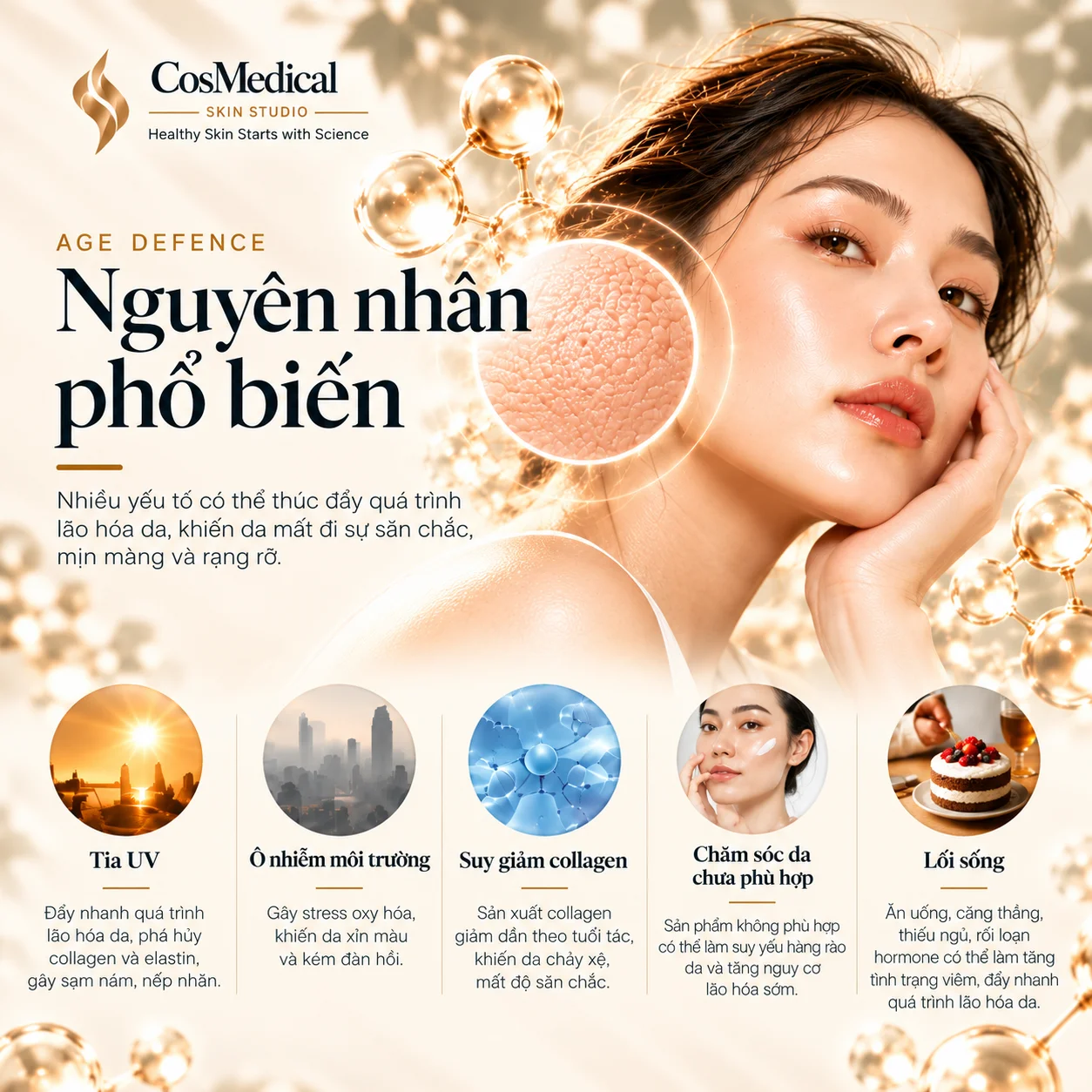 NGUYEN NHAN PHOOR BIEN mo